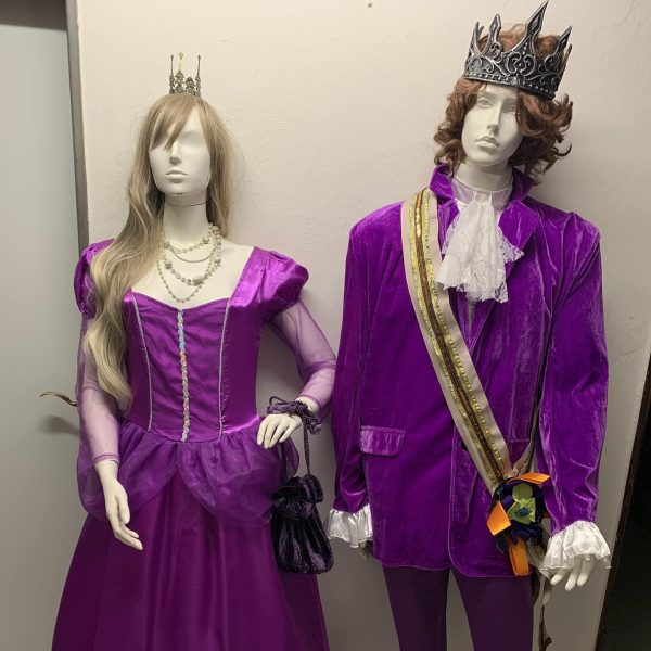 Princezna