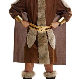Pračlověk, Viking
